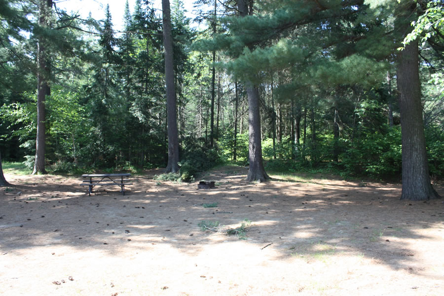 Mew Lake Campsite #73 - full campsite view