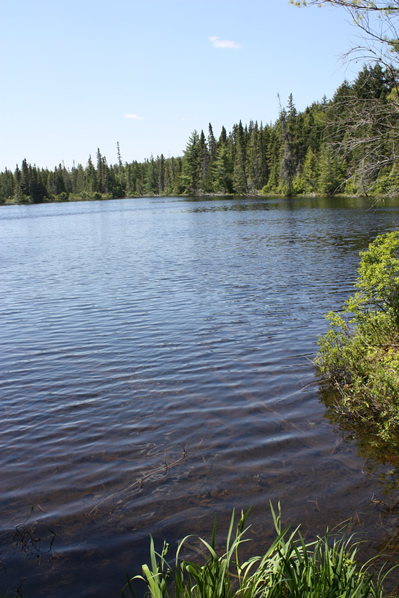 Lake along Booth's Rock trail at Algonquin Park