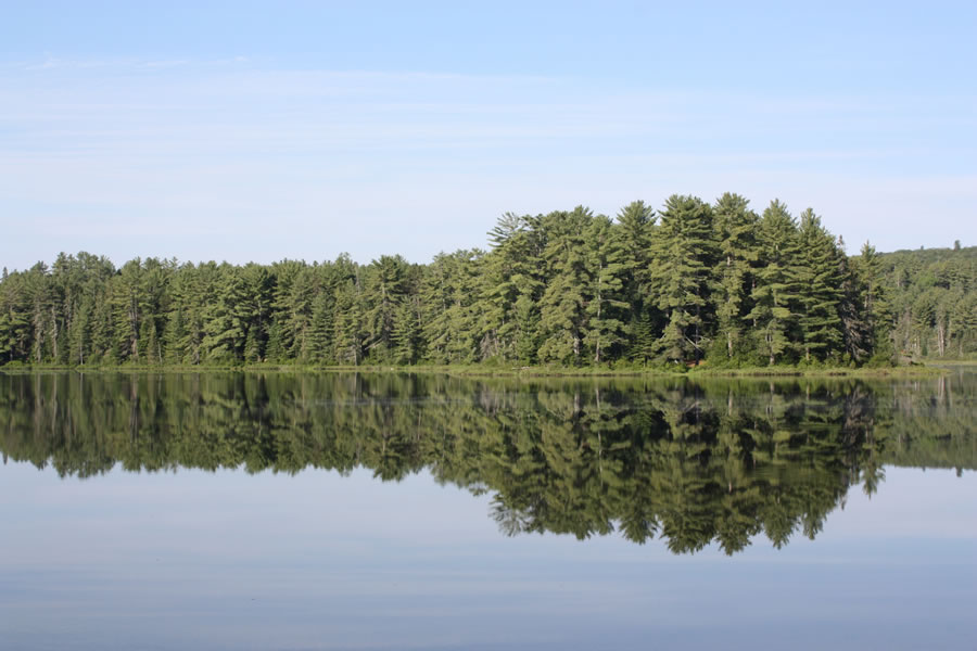 Mew Lake at Algonquin Provincial Park