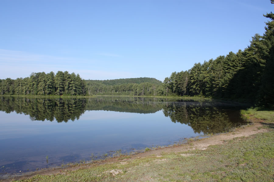 Mew Lake at Algonquin Park - View from the Beach