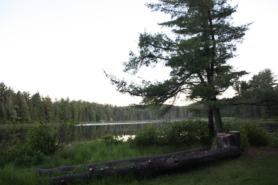 Mew Lake - View from water side camp site